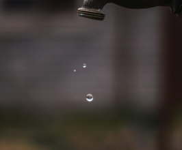 Photo by Walter Randlehoff on Unsplash
