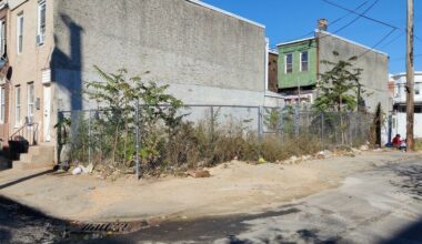 Kensington teens turn a dump site into a garden