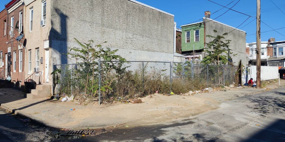 Kensington teens turn a dump site into a garden