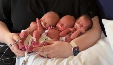 Pittsburgh hospital sees rare boom of 4 triplet births