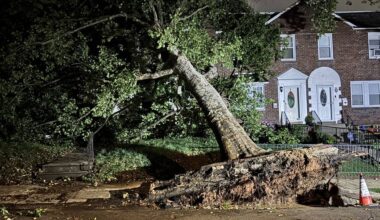 Tree falls on two homes in Northeast Philly during severe storms