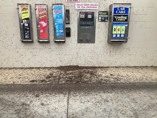 This is one example of how bad the mayflies impacted the shores of Lake Erie. Lakeview Self Service Car Wash, corner of Lake and Sheffield roads in Sheffield Lake, was not immune from the mayflies. (Journal staff - The Morning Journal)