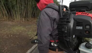 Seasonal gas-powered leaf blower ban goes into effect in Lower Merion Township