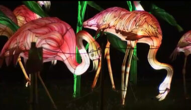 Chinese Lantern Festival lights up Franklin Square for cultural glow and family fun