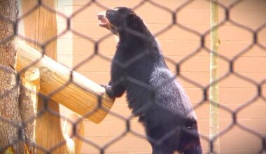 Bears, blooms, and a sky-high spin at the Philadelphia Zoo