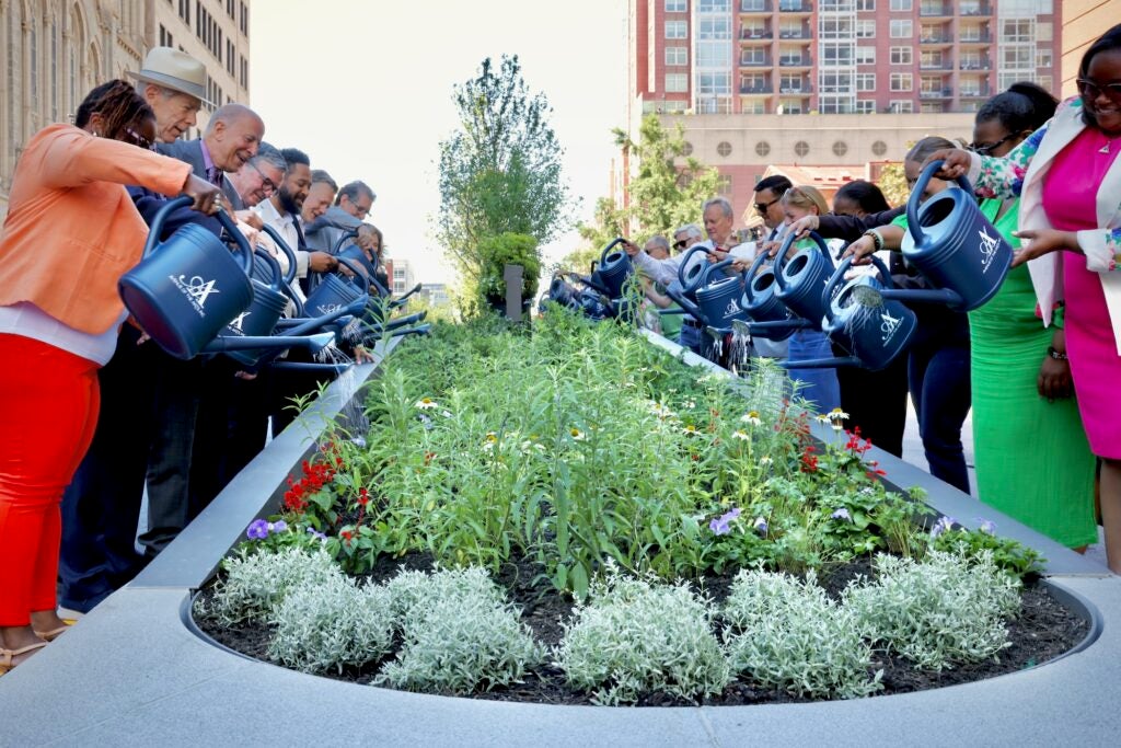 Dignitaries water the plants in a raised median strip dividing South Broad Street between Spruce and Pine streets.