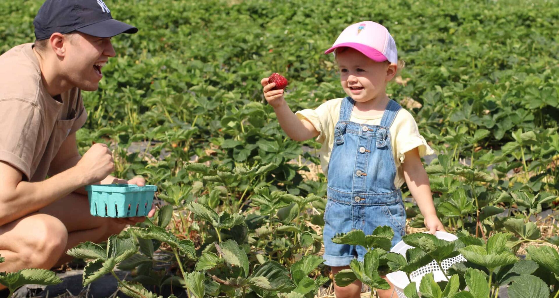Pennsylvania is one of the country’s leading agricultural producers, and that extends to your favorite berries.