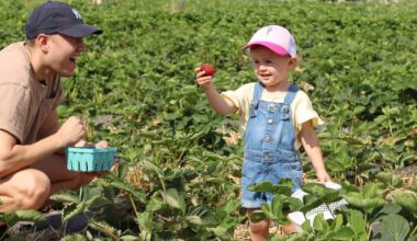 Pennsylvania is one of the country’s leading agricultural producers, and that extends to your favorite berries.