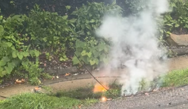 Wires spark flames after tree falls in Pittsburgh's West View
