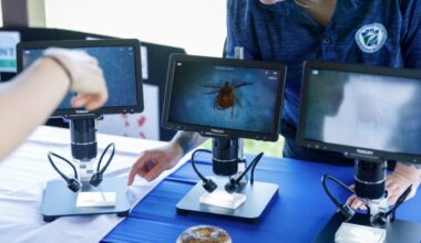 Pennsylvania Officials Urge Tick Precautions as Lyme Cases Remain High