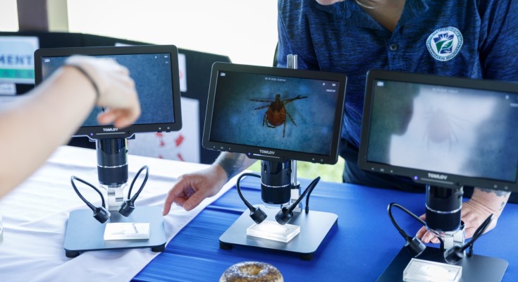 Pennsylvania Officials Urge Tick Precautions as Lyme Cases Remain High