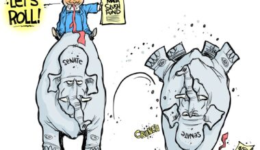Cartoonist’s take: Senate rebels against Trump slush fund – Daily Freeman
