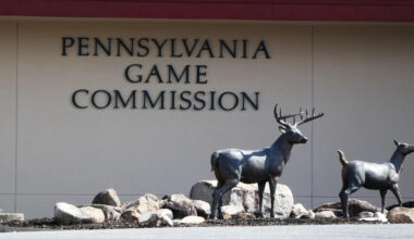 Pennsylvania hunting license sales begin June 22, plus migratory bird seasons set