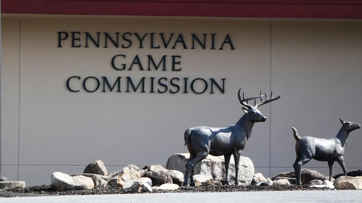 Pennsylvania hunting license sales begin June 22, plus migratory bird seasons set