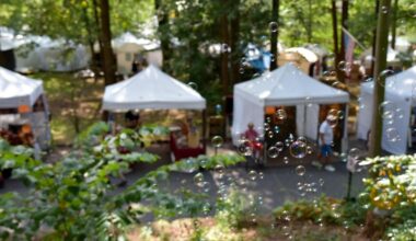 Mount Gretna Outdoor Art Show brings artists, films to one of Pennsylvania's most historic towns