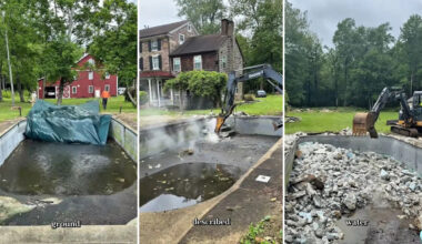 Pennsylvania couple turns snake-filled pool into a garden at one-quarter the cost of restoring it