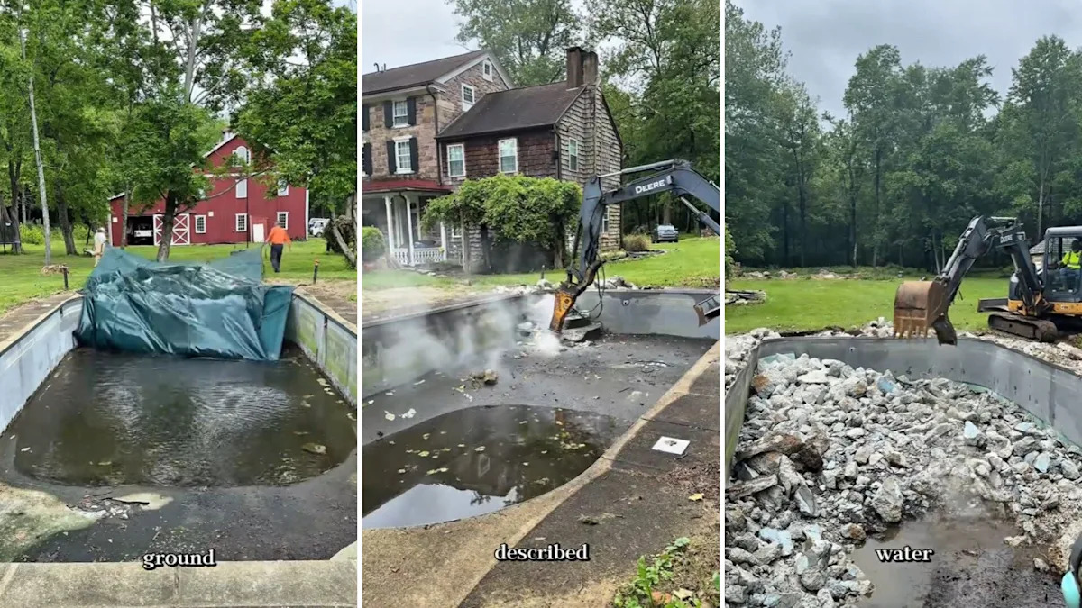 Pennsylvania couple turns snake-filled pool into a garden at one-quarter the cost of restoring it
