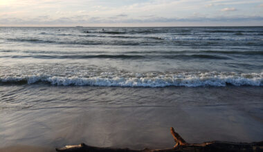 Swimmers warned not to enter Lake Erie