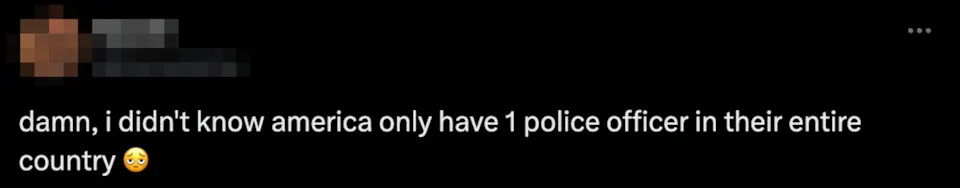 Tweet by user Nora: "damn, i didn't know america only have 1 police officer in their entire country" with a pensive emoji