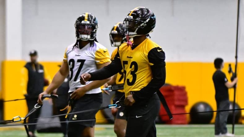 Pittsburgh Steelers Daylan Carnell