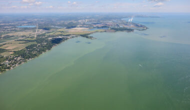 An aerial photo of green waters from a harmful algal bloom in western Lake Erie, July 20, 2020.