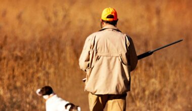 Pa. hunting, trapping licenses will go on sale this month  | Pennsylvania News