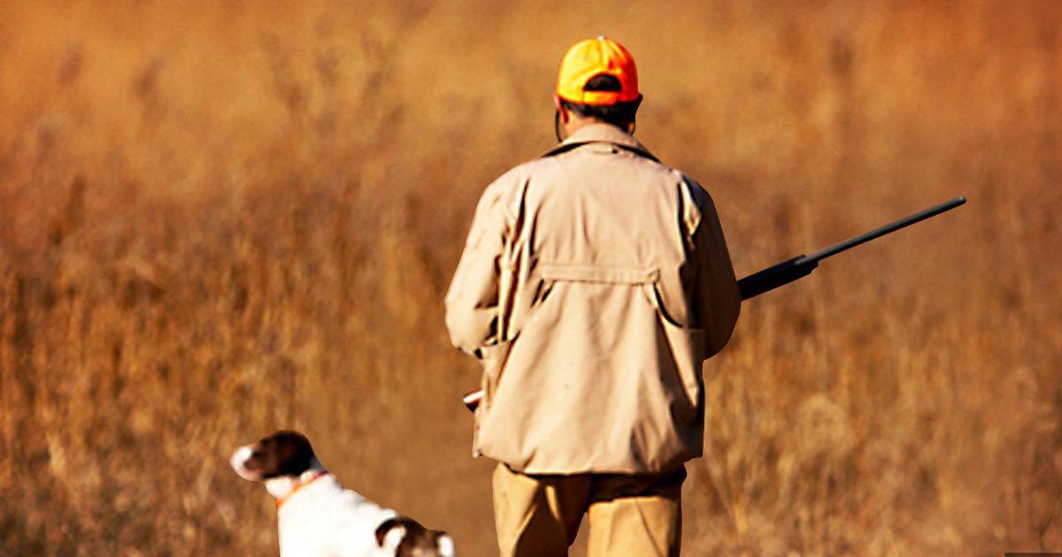 Pa. hunting, trapping licenses will go on sale this month  | Pennsylvania News
