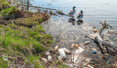 Pennsylvania waterways are full of microplastics, and sediment levels keep doubling