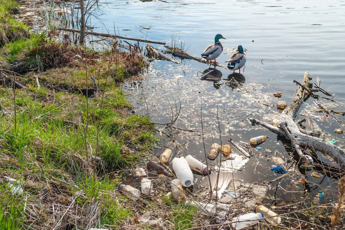 Pennsylvania waterways are full of microplastics, and sediment levels keep doubling