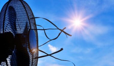 Berks County Senior Centers will be available as cooling sites amid high temperatures  | Reading Area