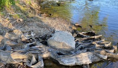 Noise, trash at 'Penske Beach,' Skyline Drive warrant town hall meeting, Reading City Council says | Berks Regional News