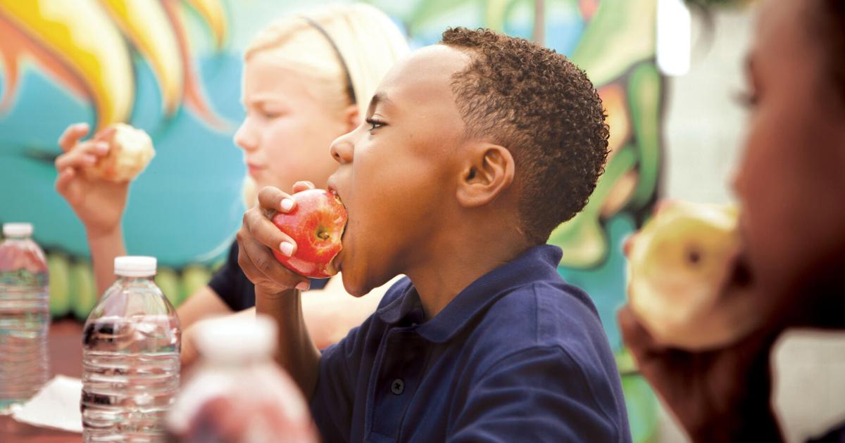 Almuerzo gratis durante el verano en Allentown y Quakertown | Noticias