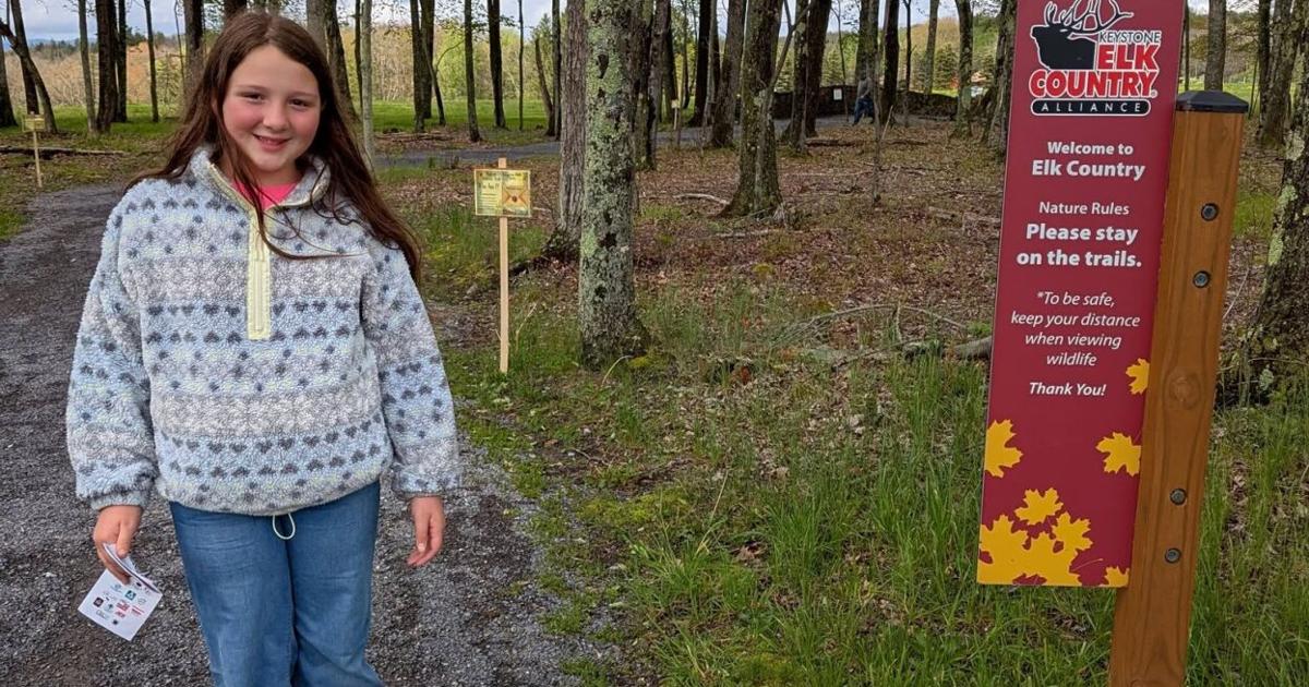 Remake Learning activities create magical moments for area families | News