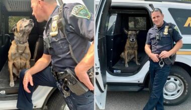 Palmer Township Police announce passing of retired K9 Rio | Easton Area