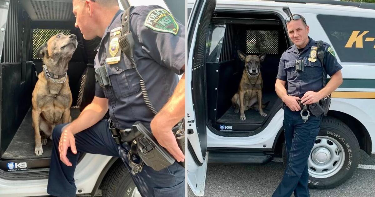 Palmer Township Police announce passing of retired K9 Rio | Easton Area