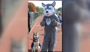 Kiska VI, Dieruff High’s husky mascot, on the mend after medical scare | Allentown Area