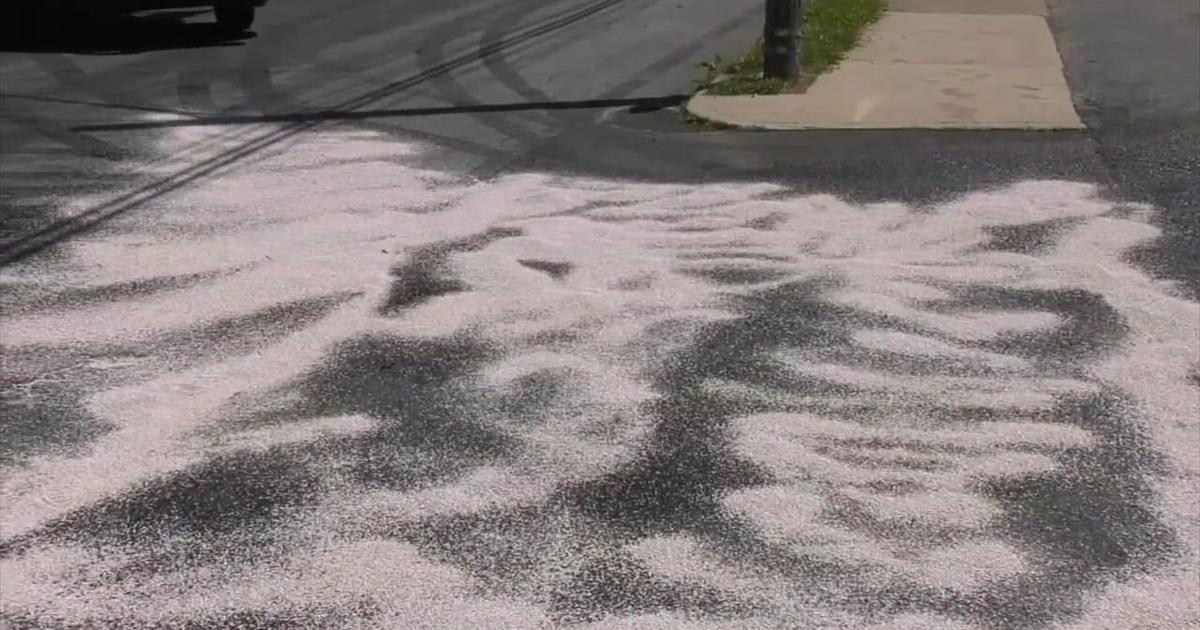 Thieves target Hellertown eateries for cooking oil as police warn of regional trend | Northampton County