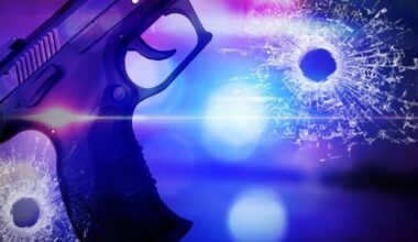 Man pleads guilty to shooting, injuring 3 in Fountain Hill during argument on porch of home | State