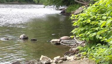 ‘It is unsettling’: No one in custody after gunshots reported on D&L Trail, police say | Bethlehem Area