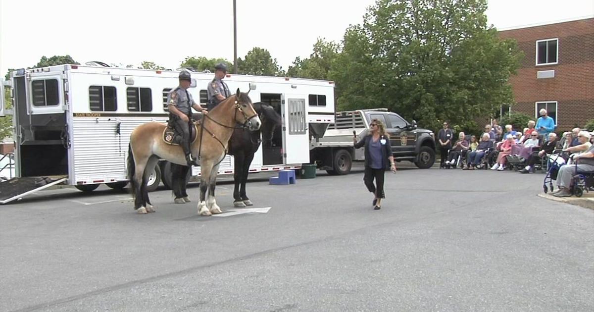 PSP horses visit seniors at retirement home in Whitehall | Allentown Area