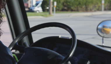 Erie Bus Driver Loses Job After Stopping to Save Opossums | News