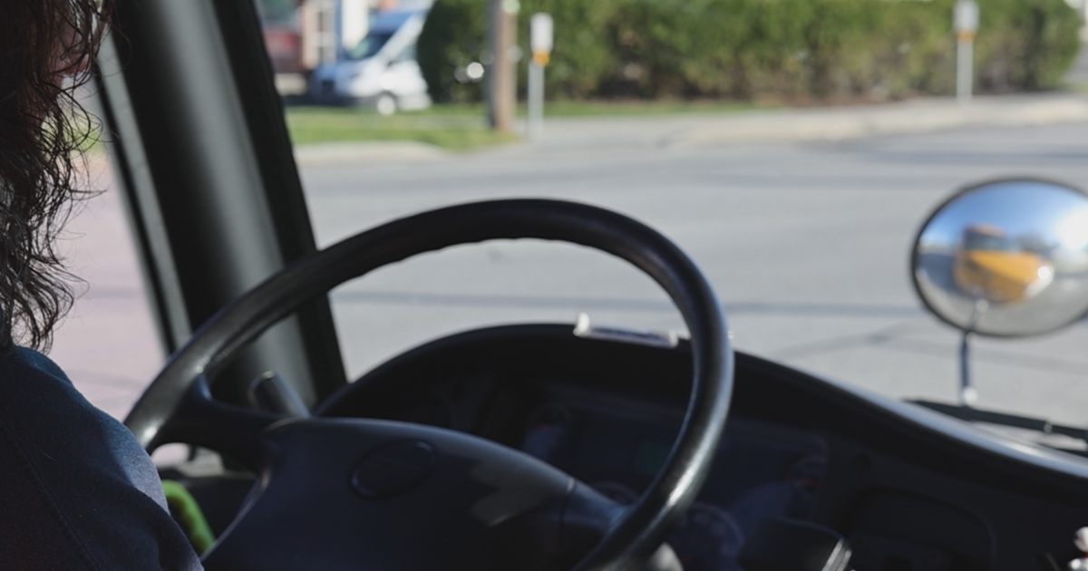 Erie Bus Driver Loses Job After Stopping to Save Opossums | News