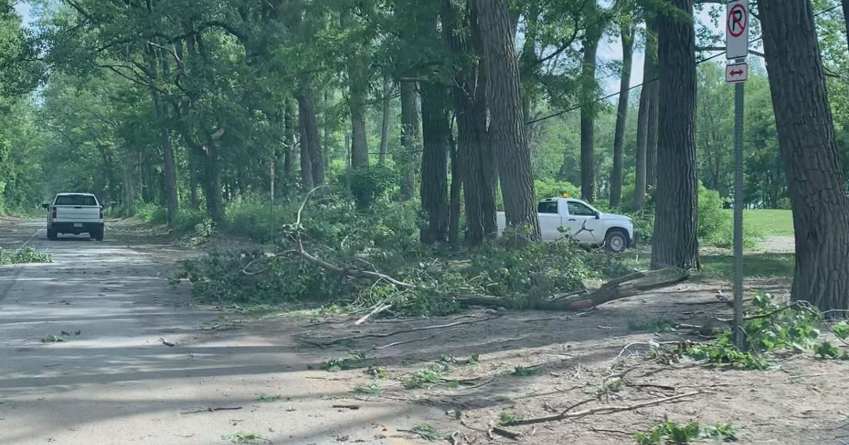 Presque Isle, Tom Ridge Environmental Center, and Waldameer Closed until Further Notice after Storms | Local News