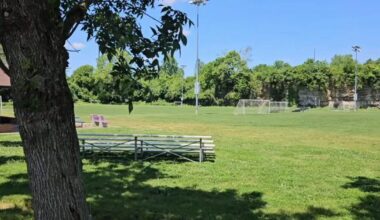 World Cup 'watch party' to take place in Wyomissing Friday night | Lehigh Valley Regional News