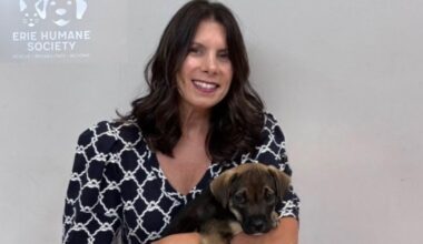 Erie Humane Society Names Interim Executive Director | News