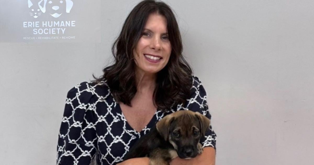 Erie Humane Society Names Interim Executive Director | News