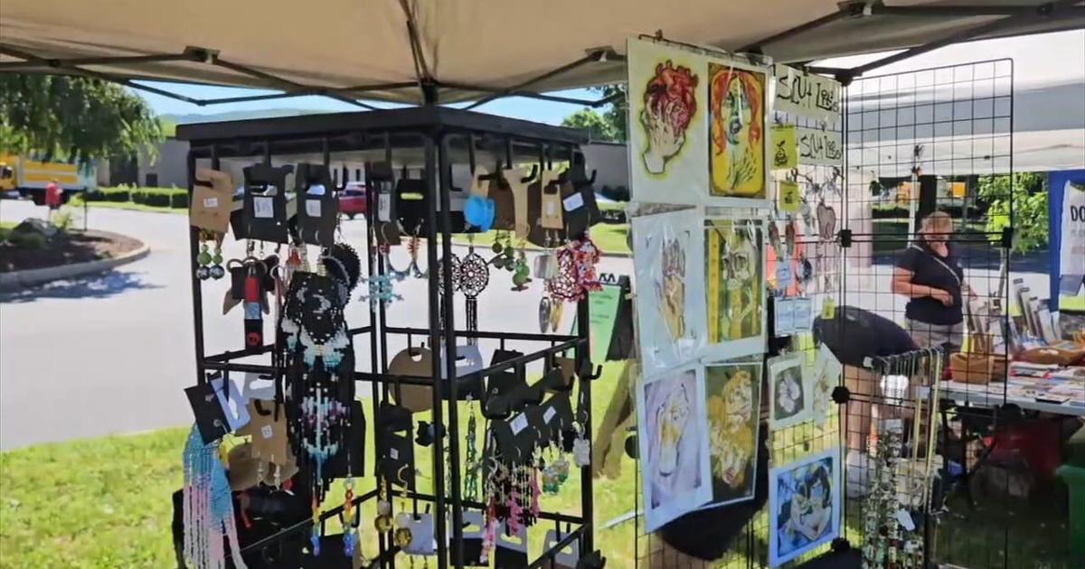Indigenous Wellness Celebration educates community on Native American health traditions, resources | Reading Area