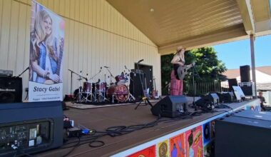 Attendees enjoy free music and support local arts at Hamburg Arts Festival | Berks Regional News