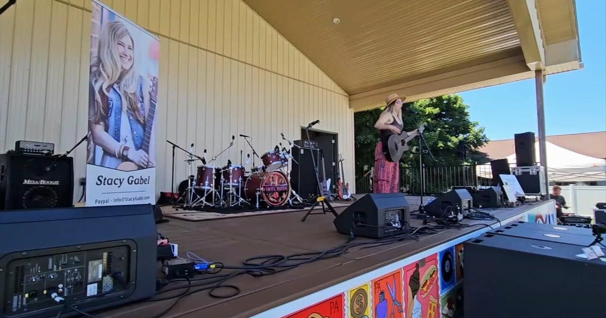 Attendees enjoy free music and support local arts at Hamburg Arts Festival | Berks Regional News