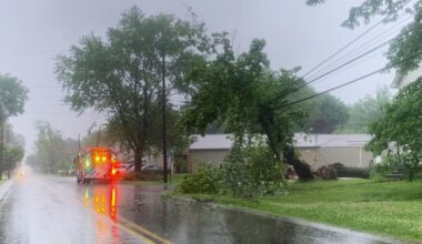 Severe Storms Bring Down Trees, Power Lines in Warren County | News